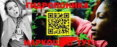 индика Абакан