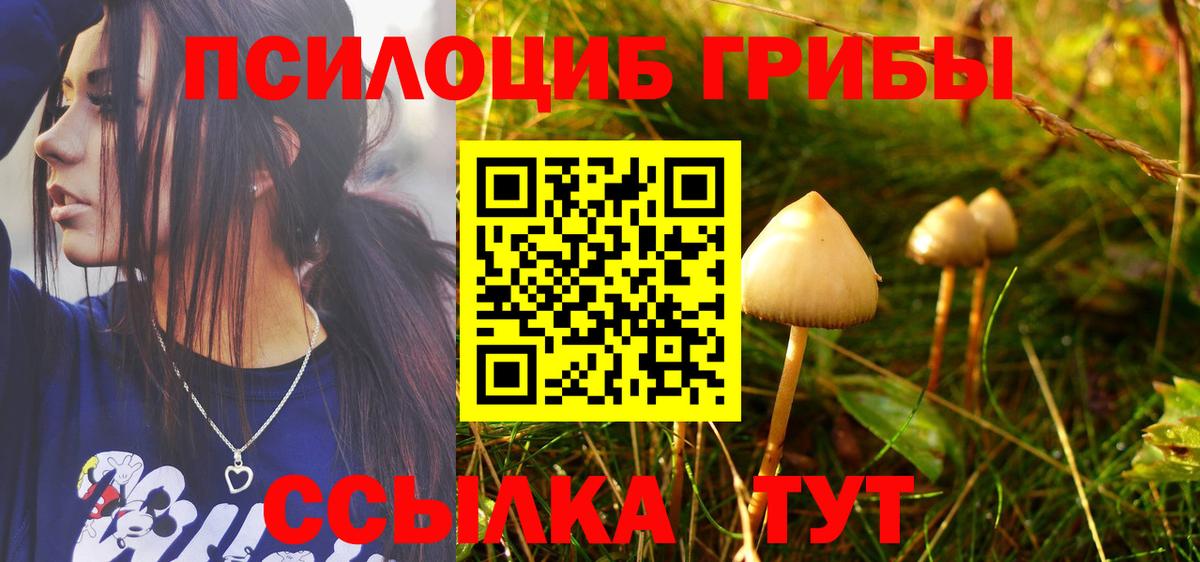 Псилоцибиновые грибы ЛСД  Вход с VPN  Куйбышев 