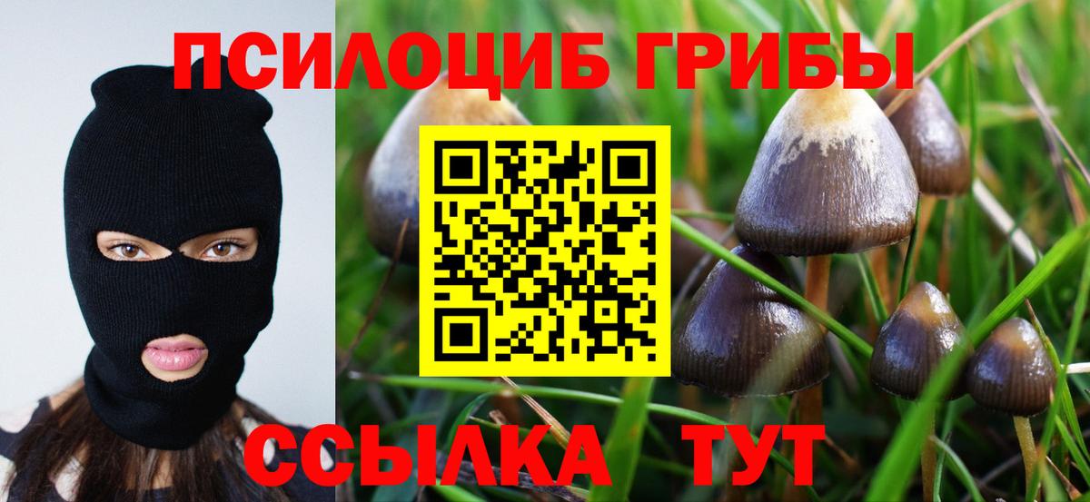 Псилоцибиновые грибы мухоморы Куйбышев